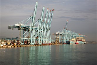 Large cranes APM Terminals container ship port at Algeciras, Cadiz Province, Spain, Europe