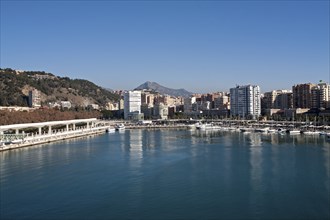 Apartment blocks and yachts in marina of Muelle Uno port development, city of Malaga, Spain, Europe