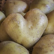 Heart-shaped potato