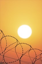 Symbolic image imprisonment, barbed wire fence in front of the sun, sunset, protective fence,