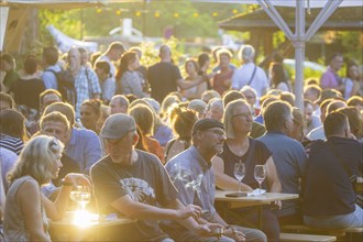 31st Elbhangfest, Wine Village Loschwitz, 31st Elbhangfest, Dresden, Saxony, Germany, Europe