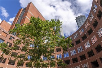 Clioplein Square, residential area in the city centre near Central Station, Skyline, in the city