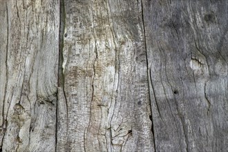 Board wall, wooden wall, texture, background, Münsterland, North Rhine-Westphalia, Germany, Europe