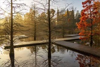 The Grugapark, Essen, botanical garden, park for leisure and recreation, by the forest lake, wooden