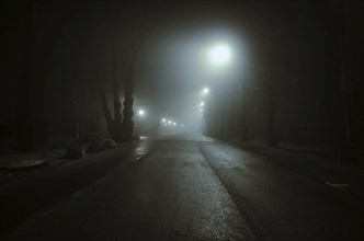 Foggy Illuminated Road at Night in Locarno, Ticino, Switzerland, Europe