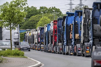 Truck tractors, exclusively from Eastern European countries, park in the harbour area, the canal