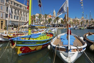 Harbour with historic fishing boats, Sanary-sur-Mer, Provence-Alpes-Côte d'Azur, France, Europe