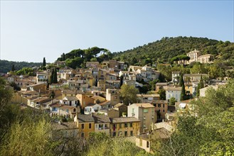 Bormes-les-Mimosas, Département Var, Provence-Alpes-Côte d'Azur, South of France, France, Europe