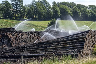 Wet wood storage of a sawmill, timber that is stored longer is sprinkled with water so that the