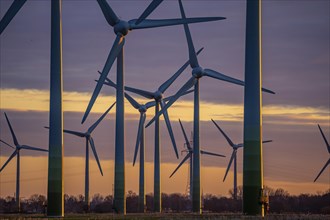 Wind farm near the East Frisian town of Norden, east of the town, sunset, Lower Saxony, Germany,