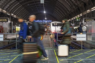 Frankfurt am Main main station, ICE train on platform, traveller, Hesse, Germany, Europe