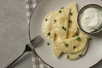 Pierogi, a traditional dish of Polish cuisine, dumplings, top view, close-up, no people