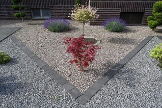 Modern front garden with pebbles, gravel garden, Ruhr area, North Rhine-Westphalia, Germany, Europe