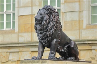 Large bronze lion figure with mane, sculpture, lion's mane, Ducal Museum, Schlossplatz, Gotha,