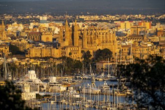 Panorama of Palma de Majorca, Bay of Palma, with the marina and the Cathedral of St Mary, Balearic