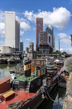 Rotterdam city centre, Oudehaven, historic harbour, historic ships, modern city backdrop,