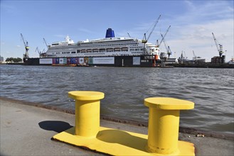 Europe, Germany, Hanseatic City of Hamburg, Harbour, Elbe, View to floating dock 11, Passenger ship