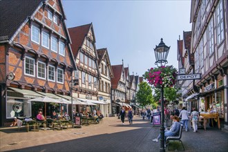 Zöllnerstrasse in the old town centre with typical half-timbered houses, Celle, Lüneburg Heath,