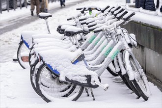 Winter in the city, snow-covered rental bikes from Nextbike, animal, Hauptwache, Frankfurt am Main,