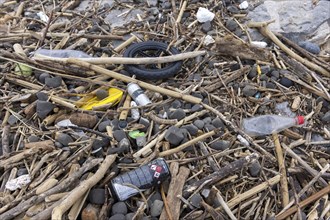 Symbolic image environmental pollution, plastic waste, rubbish, flotsam from a flood on the Neckar