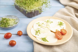 White cheese with tomatoes and cilantro microgreen on blue wooden background and linen textile.