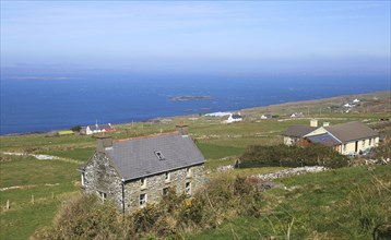 Houses along the west coast of Cape Clear Island, County Cork, Ireland, Irish Republic, Europe