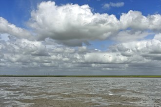 Pile clouds pile up over the mudflats at low tide, Wadden Sea of the North Sea, Schleswig-Holstein,