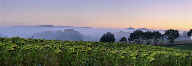 Morning fog over the Werra valley, from the Schlierbachsattel, Oberdünzenbach near Eschwege,