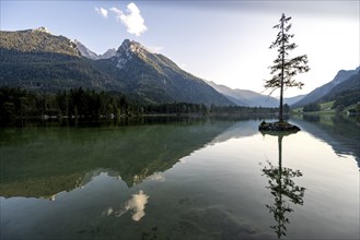 Hochkalter reflected in Hintersee, at sunset, Berchtesgaden National Park, Ramsau, Upper Bavaria,