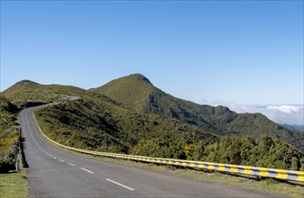 Road on the Paul da Serra plateau, Madeira, Portugal, Europe