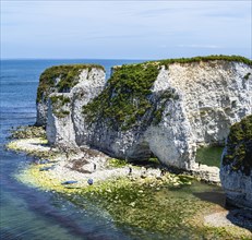 People on paddleboards, White Cliffs. Old Harry Rocks Jurassic Coast, Dorset Coast, Poole, England,