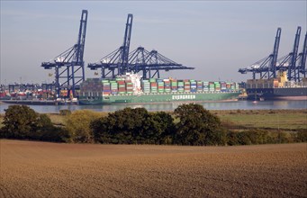 Container ships and cranes in the Port of Felistowe, Britain's busiest container port, pictured