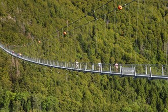 Blackforestline near Todtnau, Black Forest, Baden-Württemberg, Germany, Todtnau, Baden-Württemberg,