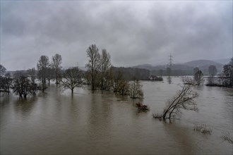 Floods on the Ruhr, here near Bochum-Stiepel, flooded Ruhr floodplains, after days of continuous