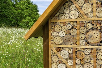 Insect hotel, wildflower meadow at the park cemetery in Essen, the city's largest cemetery, North