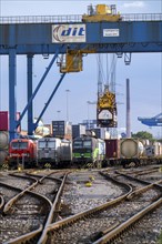 Locomotives of container trains, in Duisburg harbour, Logport, goods trains being loaded, part of