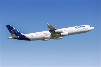 A Lufthansa Airbus A340-300 aircraft with the registration D-AIGY at the airport in Frankfurt,