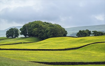 Farms in Yorkshire Dales National Park, North Yorkshire, England, United Kingdom, Europe