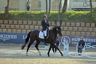 Steffen Zeibig on Patamon, Para dressage, German Championships, Balve