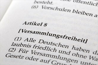 German Basic Law Article 8, Freedom of assembly