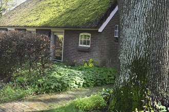 NL, Eesergroen: Spring characterises the landscape, towns and people in the province of Drenthe in