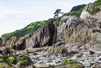 Rocks on Mothecombe Beach, Mothecombe, River Emme and Red Cove, Plymouth, South Devon, England,