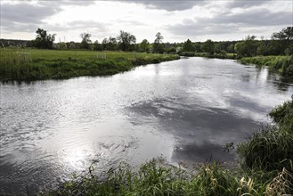 Unregulated natural course of the Spree, Mönchwinkel, 16 05 2023