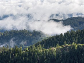 Clouds in the Thuringian Forest, view over endless forests, morning fog rising, Thuringia, Germany,