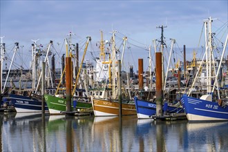 Fishing boats, shrimp boats in the harbour of Norddeich, Lower Saxony, Germany, Europe