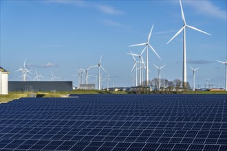 Vopak Solarpark Eemshaven, 19 hectares of solar modules with a capacity of 25 megawatts, around the