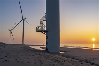 ENECO wind farm on the dike around the harbour Maasvlakte 2, 22 wind turbines with a capacity of