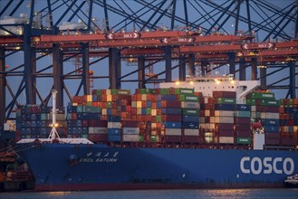 Container ship of the shipping company Cosco Shipping, CSCL SATURN, being loaded and unloaded,