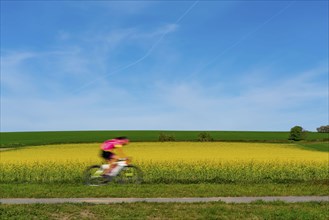 Country road at a blooming rape field, cyclist, landscape near Mülheim an der Ruhr, Germany, Europe