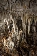 Stalactites and stalagmites in a stalactite cave, Terciopelo Cave, Barra Honda National Park, Costa